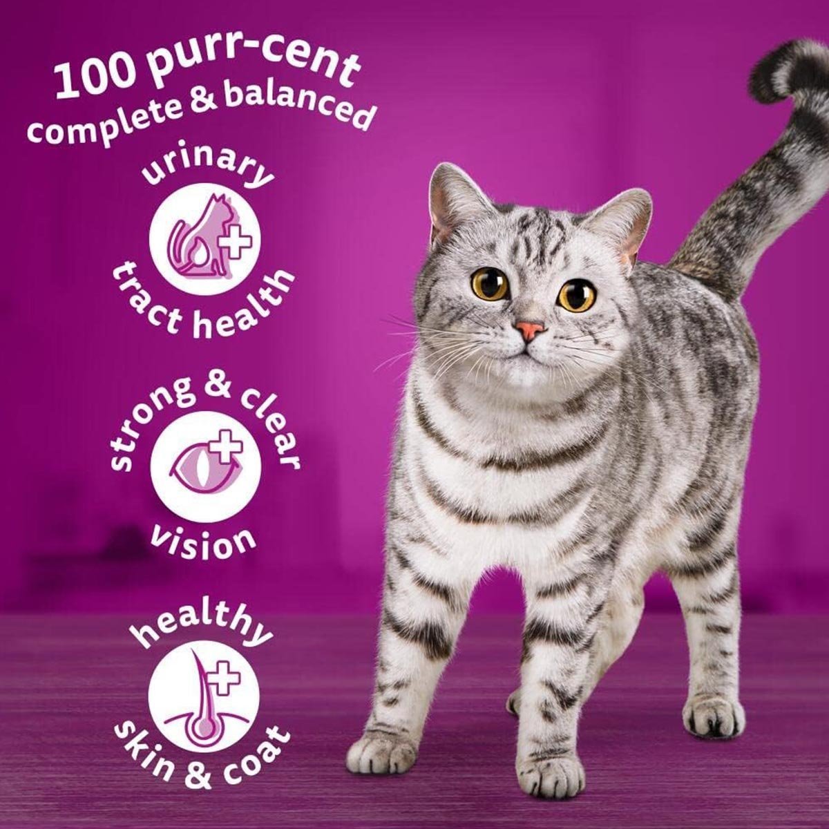 Whiskas 1+ Adult Chicken, Adult Dry Cat Food , 7 kg ( Pack of 1) - Image 3